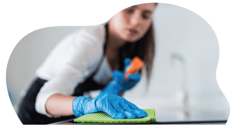 House Cleaning Services in Norwich
